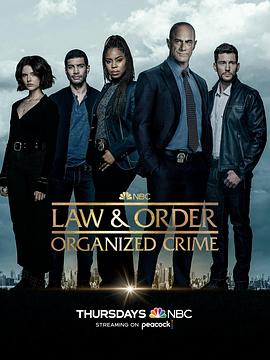 法律与秩序：组织犯罪第三季(全集)